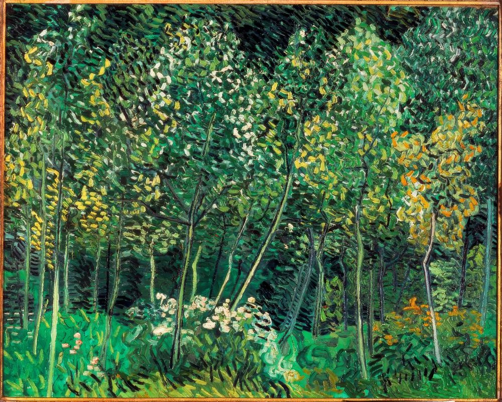 bosque | Vincent van Gogh | Impressão de arte